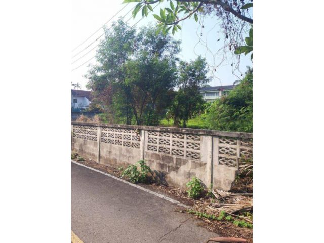 ขายที่ดินทำบ้านพัก ติดถนนคอนกรีต