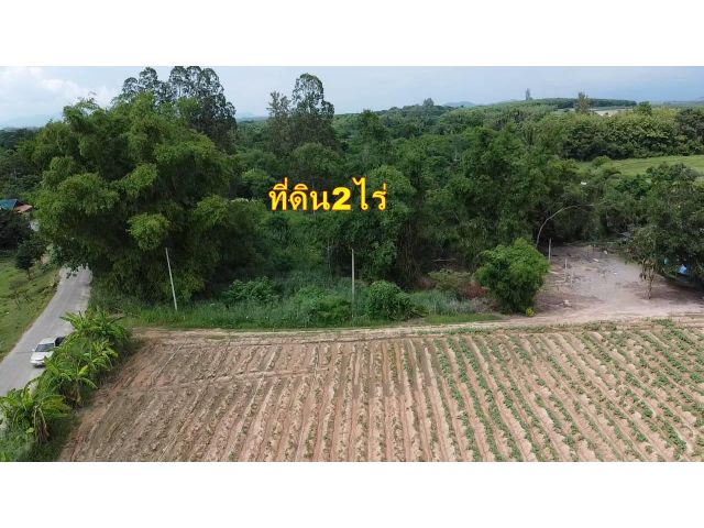 ขายที่ดิน2ไร่ติดถนนวัดบ้านบึง ห่างวัดบ้านบึง1โรงเรียนบ้านบึง2กม.เหมาะอยู่อาศัย