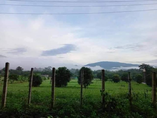 ขายที่สวนลำใยตำบลน้ำแพร่หางดงใกล้แกรนด์แคนยอนพร้อมโอน