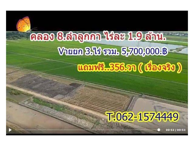 ซื้อ 3 ไร่ แถมฟรีให้อีก 356 วา ที่ลำลูกกาคลอง8 เจ้าของขายเท T.062-1574449