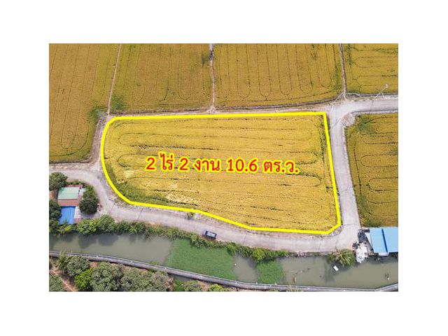 ขายที่ดิน แปลงมุม ถนน 345 บางคูวัด ปทุมธานี