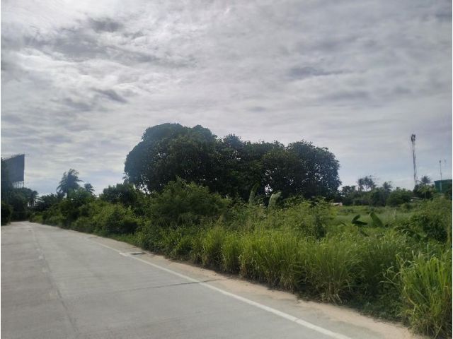 ขายที่ดินเปล่า ตะเคียนเตี้ย   ใกล้มอเตอร์เวย์สาย 7/ ติดถนนสาธารณะ 3 ด้าน เนื้อที่ 7 ไร่กว่าๆ ราคาไร่ละ 3.5 ล้าน