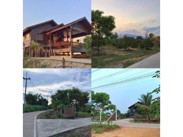 ขายบ้านสวนยกสูงห่างเทศบาลสันผักหวานเพียง 300เมตร