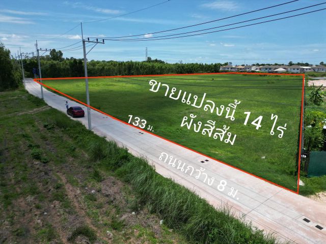 ขายที่ดิน 14ไร่ (ผังสีส้ม) ชากค้อ หนองขาม ศรีราชา เหมาะทำหมู่บ้านจัดสรร