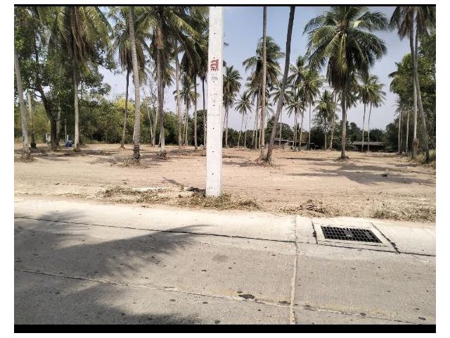 ขายที่ดินเปล่า ตะเคียนเตี้ย ใกล้วิมานซาวน่า /โรงเรียนตะเคียนเตี้ย /เทศบาลตะเคียนเตี้ย เนื้อที่ 3 ไร่กว่าๆ ไร่ละ 4 ล้าน
