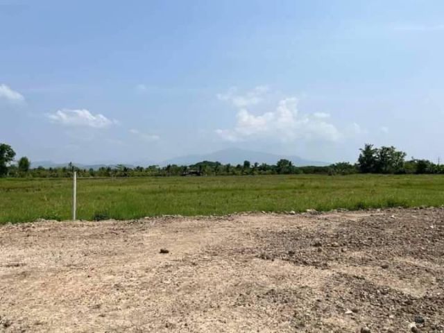ขายที่ดินตำบลขุนคงหางดงใกล้โรงเรียนนานาชาติพร้อมโอน