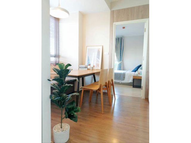 ขาย U DELIGHT รัตนาธิเบศร์ 2 ห้องนอน 52 ตรม. รีโนเวทใหม่ ห้องใหญ่ อยู่โซนสวนส่วนตัว