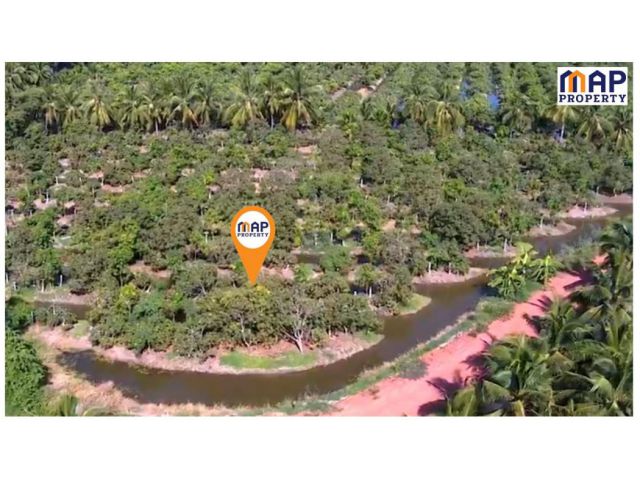 ขาย ที่ดิน ที่ดิน สวนมะม่วงอายุ 5 ปี สวย - 5 ไร่ น้ำอุดมสมบูรณ์มีใช้ทั้งปี