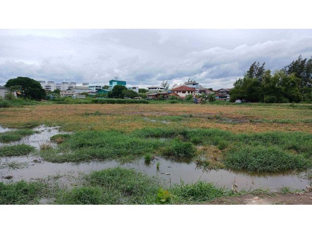 ขายที่ดินติดถนนเฉลิมพระเกียรติ  10 ไร่  ทำเลดี สวยมาก* (N.1071)