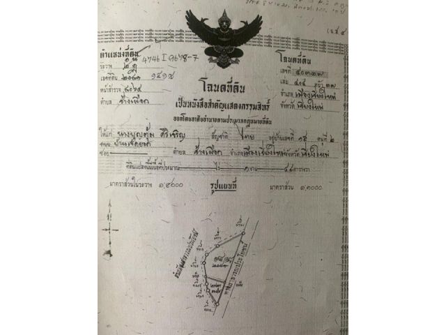 ขายบ้านเดี่ยวชั้นเดียวบนที่ดินทำเลทอง 116 ตร.วา
