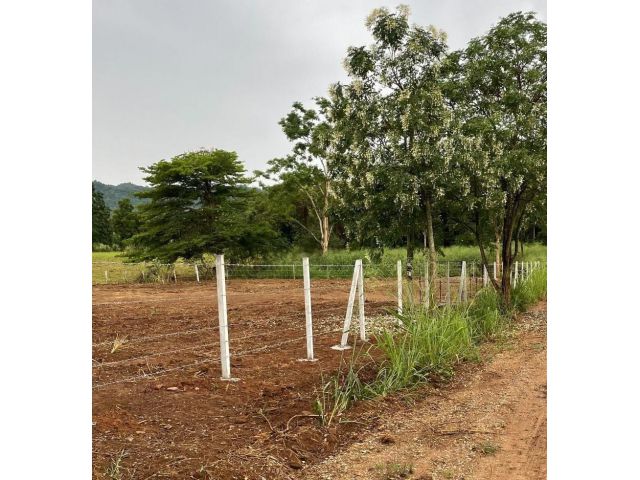 ขายที่ดินสวยๆ อากาศดี 2 แปลง มวกเหล็ก สระบุรี