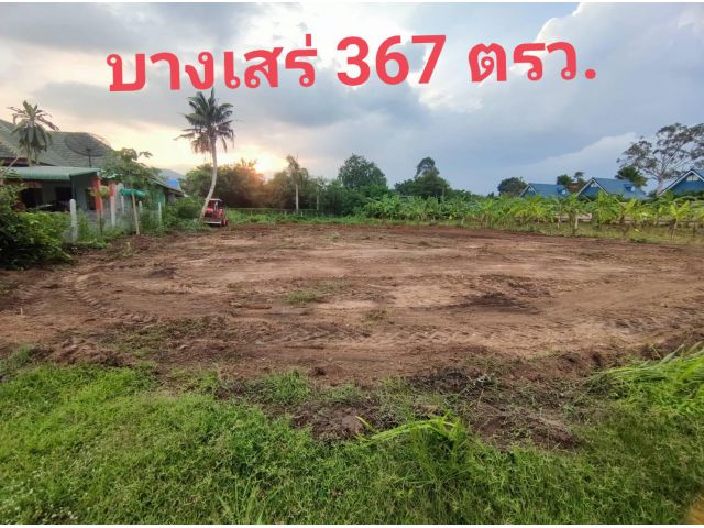 ขายที่ดินบางเสร่ สัตหีบ เหมาะสร้างบ้าน เนื้อที่ 367 ตรว.