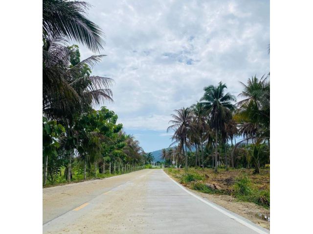 Vายที่ดิน 3 ไร่ ติดลำห้วยสาธารณะ  เขาเขียว ต.บางพระ อ.ศรีราชา จ.ชลบุรี ติดถนนคอนกรีต มีไฟฟ้า มีประปา มีเพื่อนบ้าน ใกล้