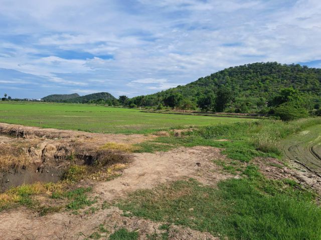 L1485 ขายที่ดินวิวภูเขาสวยบรรยากาศดี 10 ไร่ เดิมบางนางบวช สุพรรณบุรี