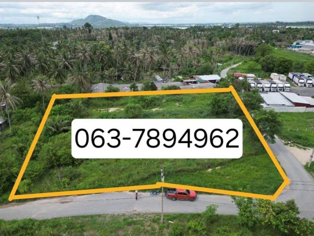 Vายที่ดินหนองค้อ​ ต.หนองขาม​  อ.ศรีราชา​ จ.ชลบุรี ขนาด2ไร่​  เพียง​ไร่ละ3  ล้าน ติดถนน​2ด้าน​ ห่างถนนเส้นหลักเนินแสนสุข