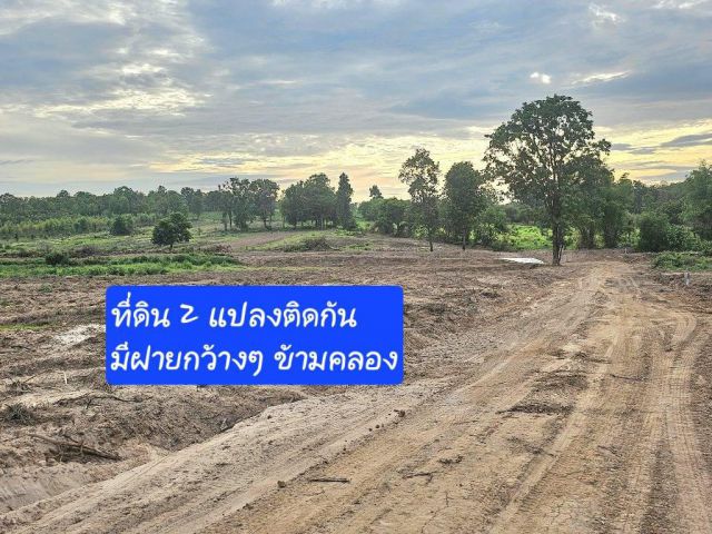 ที่ดินครุฑแดง สวย มาดูก่อน ไร่ละ 120,000 เท่านั้น
