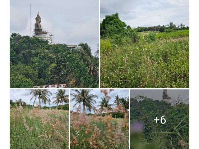 Vายที่ดิน​ 272 ตรว. เขาตะแบกศรีราชา​ ชลบุรี 1.4 ล้าน​ ฟรีโอน 0637894962มังกร
