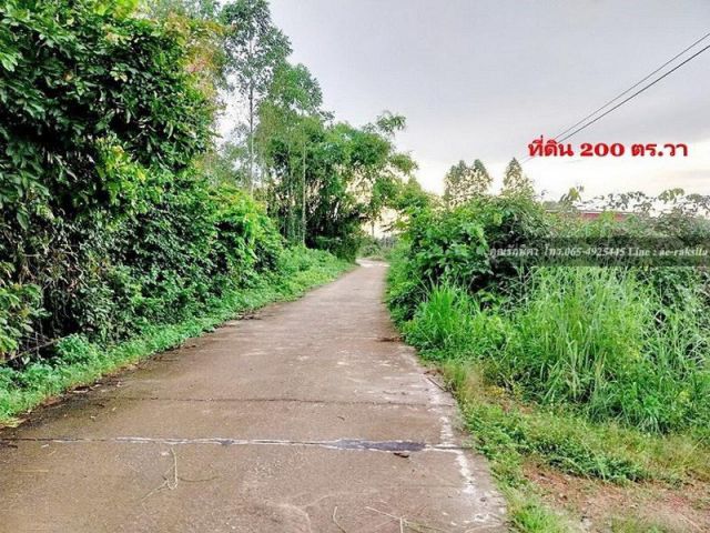 ขายที่ดิน 200 ตร.วา ใกล้ถนนสุวรรณศรใหม่ เพียง 150 เมตร 7แสน!!! ต.โนนห้อม อ.เมืองปราจีนบุรี เหมาะปลูกบ้าน ใกล้แหล่งท่องเท