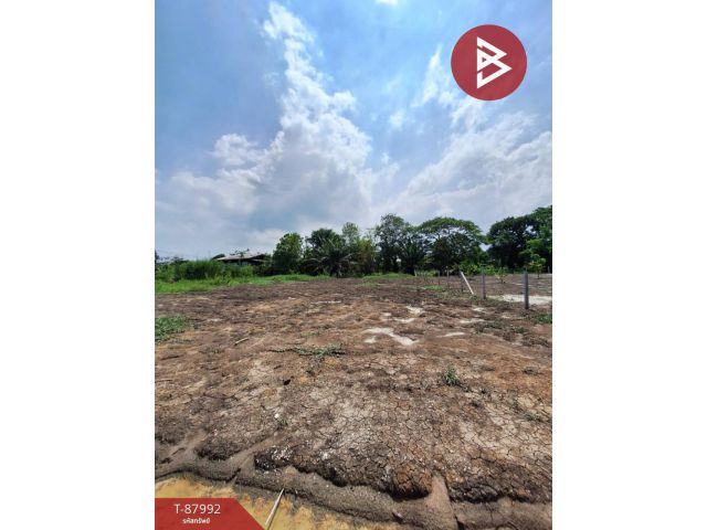 ขายที่ดิน เนื้อที่ 1 งาน หนองจอก กรุงเทพมหานคร