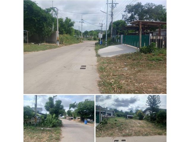 ที่ดิน71ตรว บ่อวิน อ.ศรีราชา จ.ชลบุรี (1ล้าน) หน้าติดถนน หลังติดห้วย มีไฟฟ้า 3เฟส มีประปา 063-7894962มังกร เบอร์มีไลน์