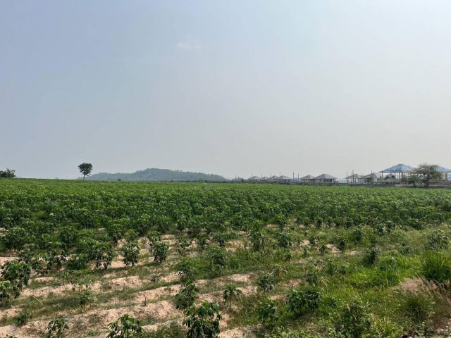 ขายที่ดินแปลงสวย 12 ไร่เศษ ต.หนองไผ่แก้ว อ.บ้านบึง จ.ชลบุรี ใกล้แยกหนองปรือ