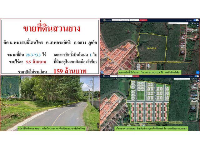 ขายที่ดินสวนยาง ขนาด 28-3-73.3 ไร่  **ติด ม.พนาสนธิ์โตนไทร **  อ.ถลาง  ภูเก็ต  (ไร่ละ5.5ลบ.)