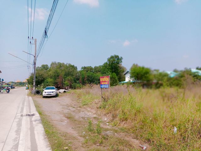 ขายที่ดินเปล่า 3  ไร่