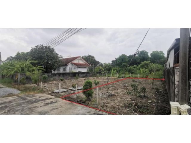 ขาย ที่ดิน 50 ตร.ว(พหลโยธิน 54-1 แยก 4-33) กทม เข้าในซอย200เมตร เหมาะสร้างบ้านมากๆค่ะ  เพิ่มสิน 50 ตรว