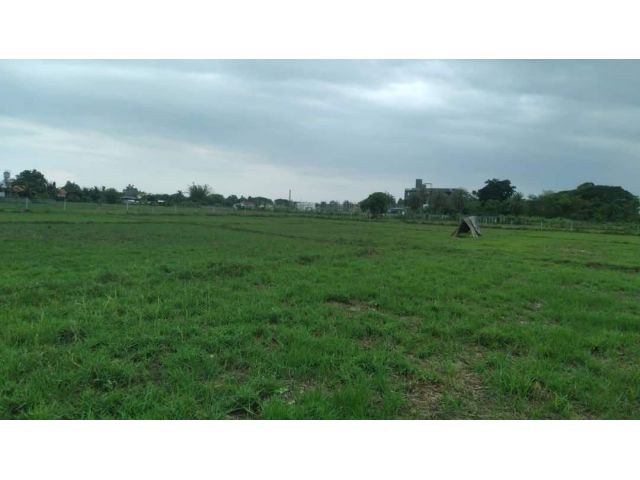ขายที่ดินตำบลน้ำแพร่หางดงโฉนดพร้อมโอนราคาถูก