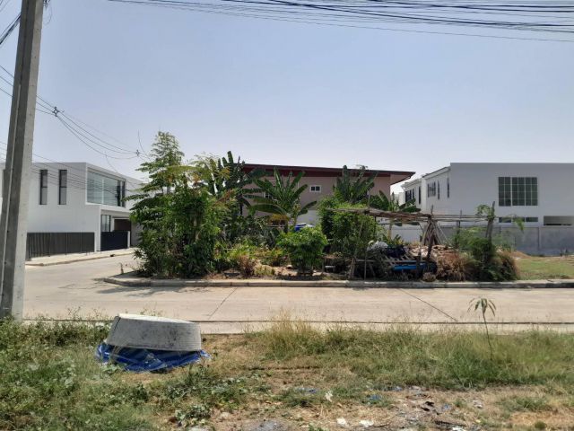 ขายที่ดินตำบลสุเทพแถวนิมานโฉนดพร้อมโอน