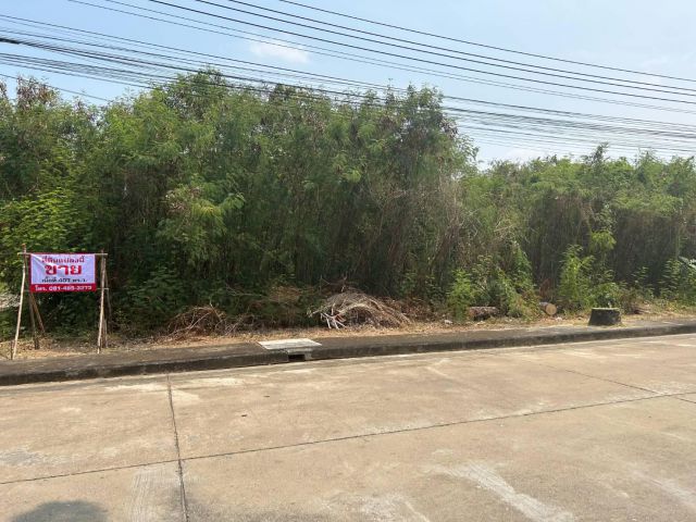 ขายที่ดินในหมู่บ้านฮันนี่