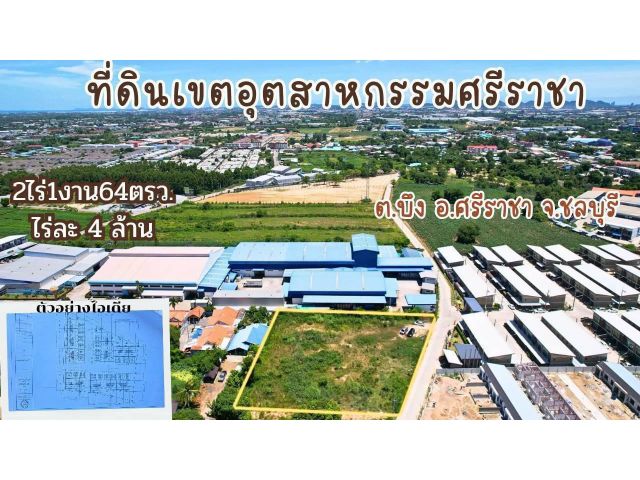 ขายที่ดินสวย 2-1-64 ตรว. = 964 ตรว. พิกัด เขตอุสหกรรมศรีราชา - โซนเครือสหพัฒ ต.บึง อ.ศรีราชา จ.ชลบุรี