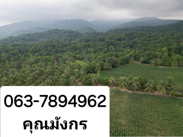 Vายที่ดินติดภูเขา ต.บางพระ อ.ศรีราชา จ.ชลบุรี ขนาด21-2-66 ไร่  vายไร่ละ 2.5ล้านเท่านั้นครับ  อยู่ติดภูเขา ใกล้น้ำตก