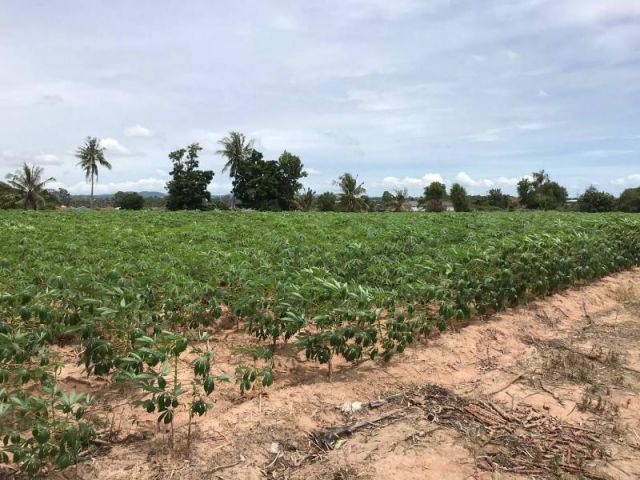 ขายที่ดินเปล่า หนองเกตุน้อย(ตะเคียนเตี้ย) ใกล้หมู่บ้านปาร์คฮิลล์ เนื้อที่ 8 ไร่กว่าๆ ราคาไร่ละ 2,000,000 ล้านบาท