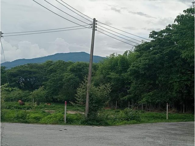 ขายที่ดินบ้านท่าข้ามตำบลแม่เหียะร่มรื่นโฉนดพร้อมโอน