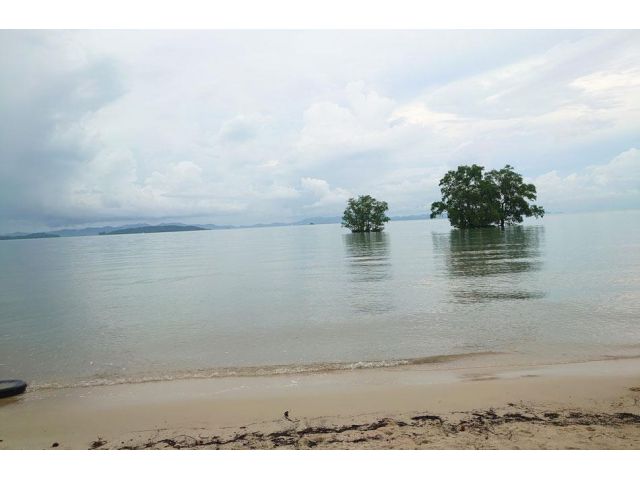 Land for sale near Tha-la beach, Thalang, Phuket.
