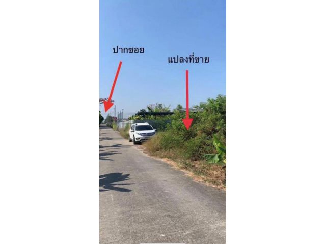 ขาย ที่ดิน ขายที่ดินเปล่า 200 ตรว. ถมแล้ว ถนนบ้านกล้วย-ไทรน้อย ซอยนาทอง ตรว.ละ 13,900 บาท ฟรีโอนค่ะ  บ้านกล้วย ไทรน้อย 200 ตรว