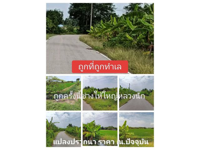 ผิดหวังมาก็เยอะเจอะมาก็แยะ อย่าท้อแท้ของมันผิดกันได้ แปลงแทร่ๆแก้ผิดหวังแปลงนี้ชัวร์ มีครบจบทุกกรณีดีนะจะบอกให้