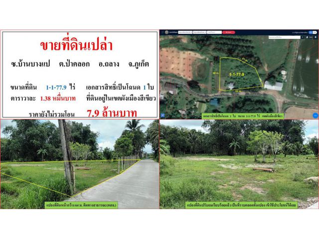 ขายที่ดินเปล่า ขนาด 1-1-77.9 ไร่  ซ.บ้านบางแป  ต.ป่าคลอก  อ.ถลาง  ภูเก็ต