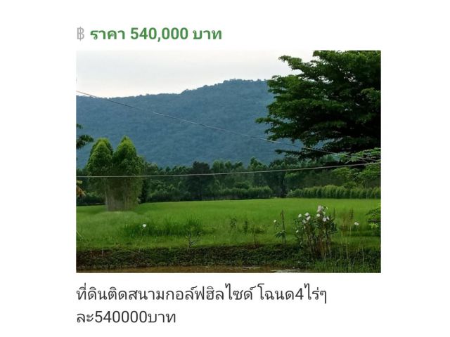 ขายที่วิวเขา