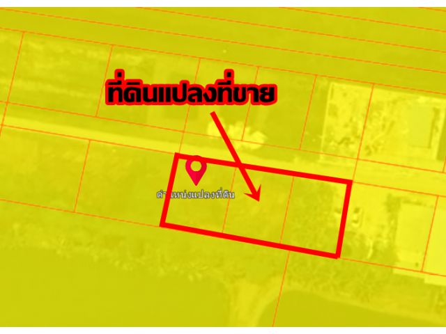 ขายที่ดินแปลงสวย ใกล้วัดบัวโรย บางเสาธง สมุทรปราการ