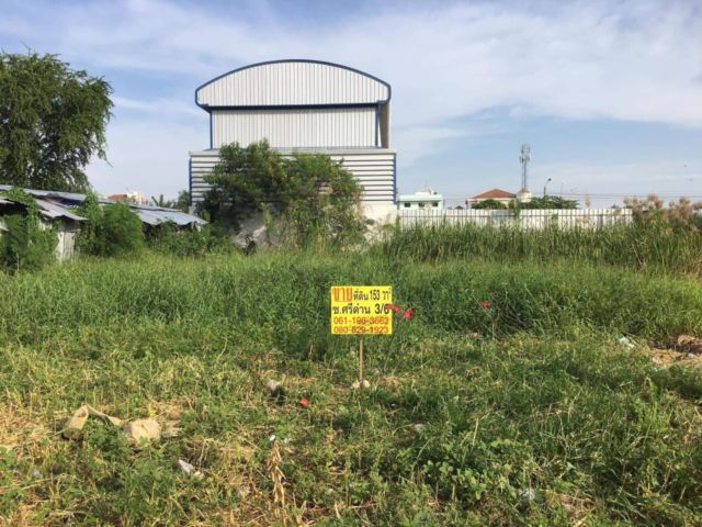 Land for sale เจ้าของขายเอง ขายที่ซอยศรีด่าน 3/6 153วา ที่สวยมาก
