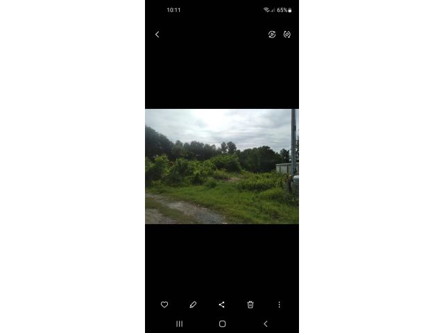 ขายที่ดิน ตะพง 80ตรว. โฉนด หมุดครบ รังวัดแล้ว
