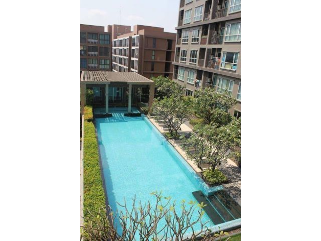 ให้เช่า คอนโด ไฮฟ์ ตากสิน ห้องมุม วิวสระ
Hive Taksin for rent