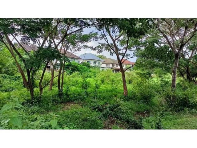 ขายที่ดินตำบลแม่เหียะใกล้โครงการกุลพันวิลล์ 5,6,7 พร้อมโอน