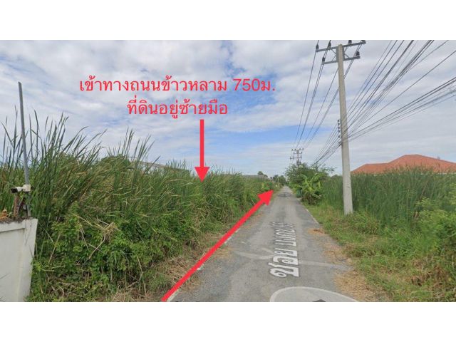 ขายที่ดิน 200 ตร.วา คลองหลวง คลองสอง ถนนรังสิต-นครนายก ซอยบงกช 65 ปทุมธานี