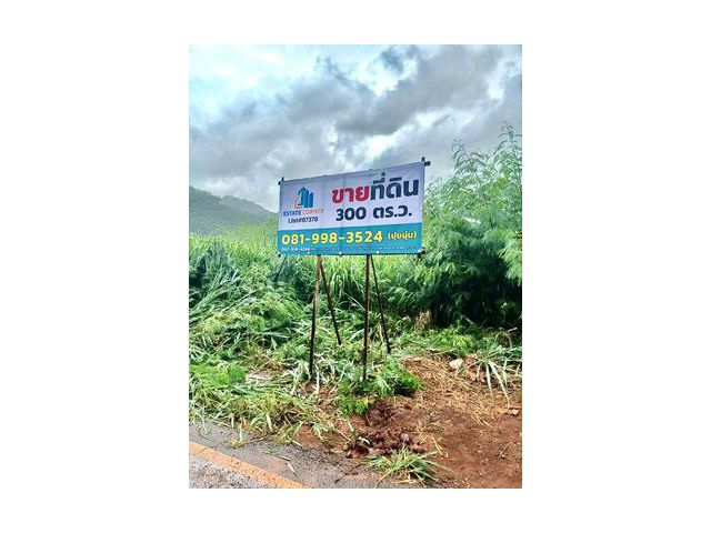 ขายที่ดินเปล่า เขาใหญ่ ทรัพย์สวย แปลงหัวมุม วิวภูเขา ติดคลับเฮ้าส์เขาใหญ่พูวิลล่า