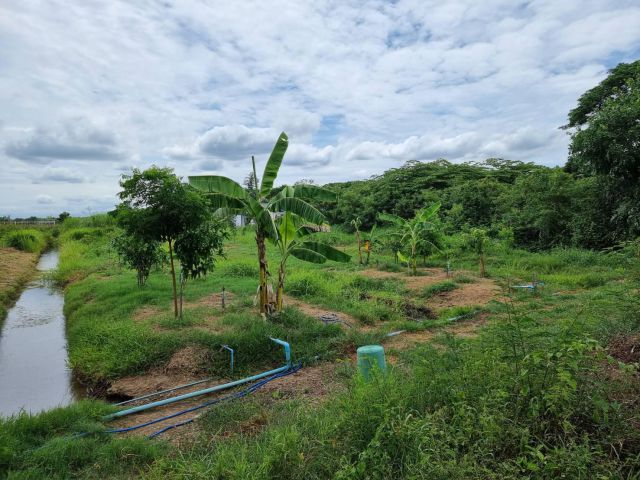 ขายที่ดิน ต.ตาก้อง อ.เมืองนครปฐม 4 ไร่ 1 งาน 12.2 ตารางวา (เจ้าของขายเอง)