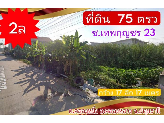 ขาย ที่ดิน ถ. ไอยรา 75 ตรว จ.ปทุมธานี อ.คลองหลวง ซ.เทพกุญชร 23