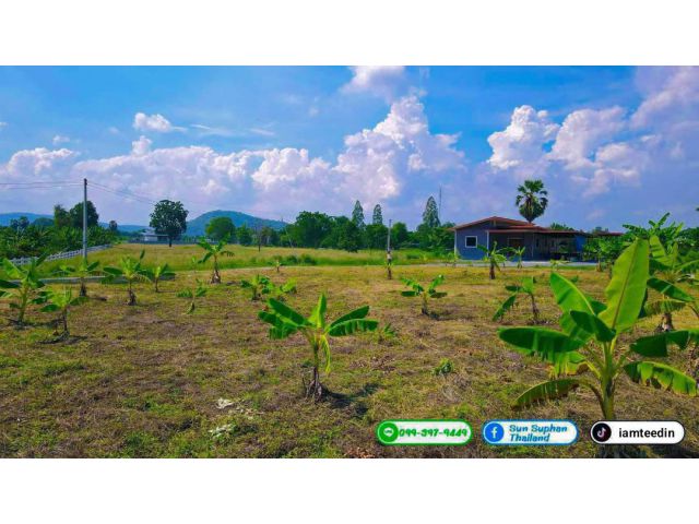 ที่ดินวิวเขาสวย ทำเลดีอยู่ติดถนน 2 ด้าน (สด-ผ่อนได้4990/ด.) มีไฟฟ้าประปาพร้อม ไม่เปลี่ยว ทำเลดีบรรยากาศดี